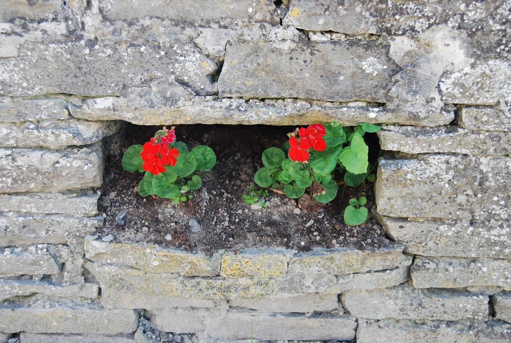 Clonmore Lodge B&B Quilty Exterior foto