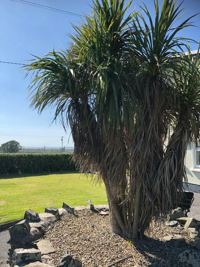 Clonmore Lodge B&B Quilty Exterior foto